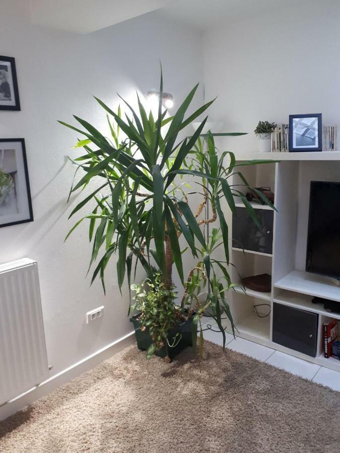 Apartament Le Souplex Troyes Zewnętrze zdjęcie